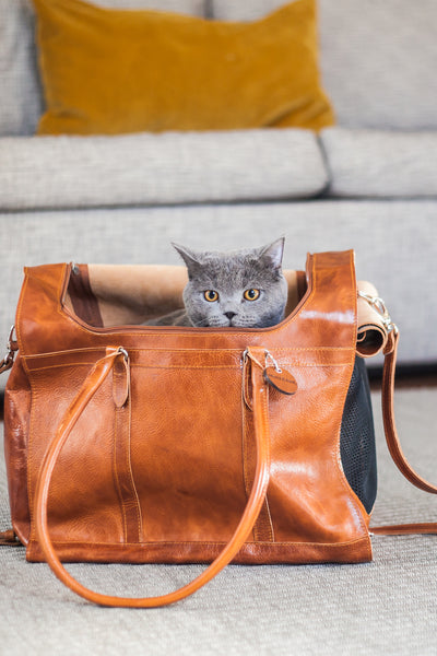 Cat Carry Bag