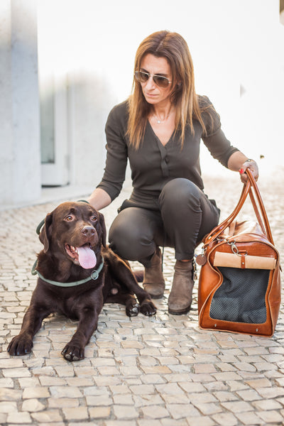 Dog Carry bag