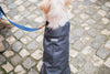 Dog Rain Coat